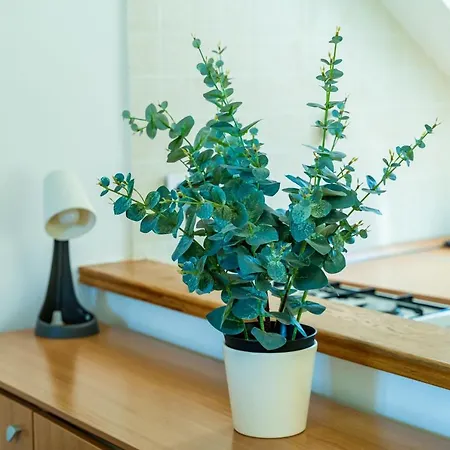 Apartman Foteza Dubrovnik